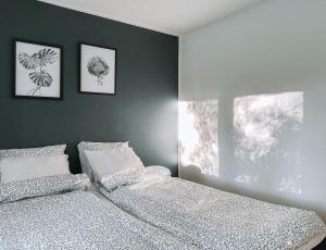 Sapelin airbnb, Parkano