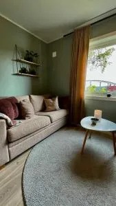 Strøken liten leilighet i Svolvær. - 斯沃尔韦尔