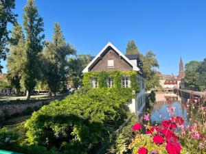 Appartements Loft Saint Thomas - Petite France : photos des chambres