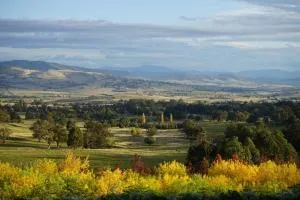 Merrimont Downs - Merrijig