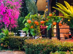 กอบสุข รีสอร์ท2 k13