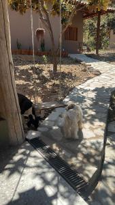 Chalés Cerrado de Piri