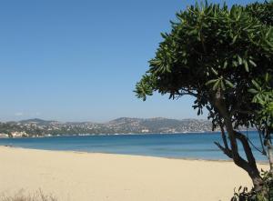 Campings Vic's Land Holidays : photos des chambres