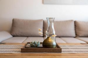 MAYA apartments duplex & terrace