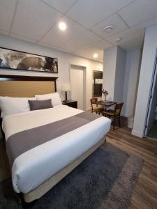 Cozy Sweet Studio #2. Ten minutes to D.T Ottawa