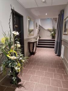 Cozy Sweet Studio #2. Ten minutes to D.T Ottawa