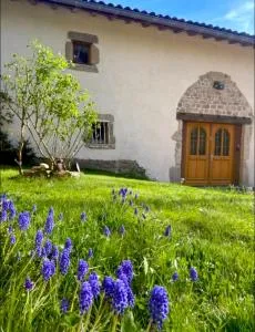 Gîte de la fontaine - 沃洛尔维尔