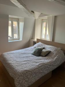 Beau duplex centre historique de dijon