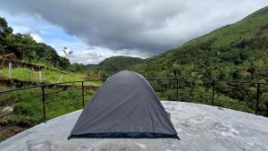 chaithanya wellness centre