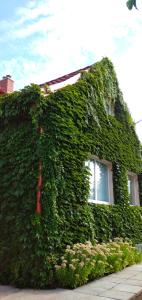 Vínny dom - Rumcajz - Borház