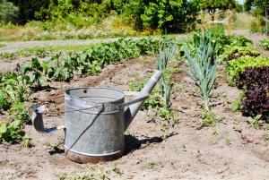 Chitakas Organic Farmhouse in Ribatejo