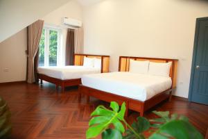 Interconnection Ba Vì Venuestay