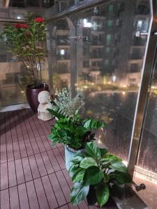 Ina apartment - Nera garden Hue