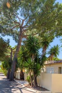 Appart'hotels Residence San Pellegrino : photos des chambres