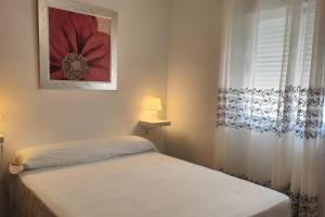 Vivienda Rural El Viejo Olivo