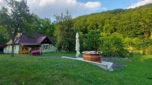 Cabana Ciupercuța - 沙安