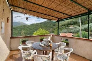 Câ de Bacî - Caravonica