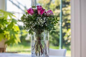 mit Wintergarten nah Moviepark