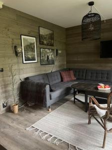 Vasabyn Fjällbacken - Lindvallen - Ski in Ski out