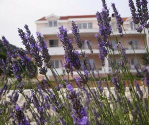 Holiday apartment in Seget Vranjica with sea view, terrace, WiFi, washing machine 5181-1