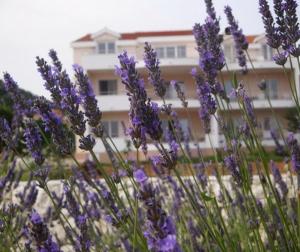 Holiday apartment in Seget Vranjica with sea view, terrace, WiFi, washing machine 5181-3