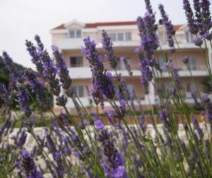 Holiday apartment in Seget Vranjica with sea view, terrace, WiFi, washing machine 5181-2