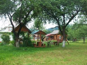 Double Room with Park View room in Pidkova