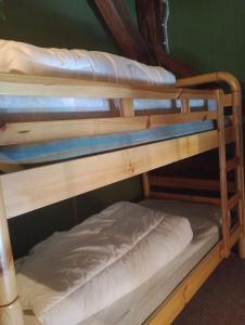 Chalets Chale les Marmottes : photos des chambres