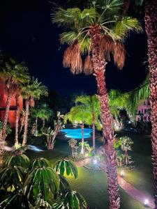 Vacaciones en Alicate Playa