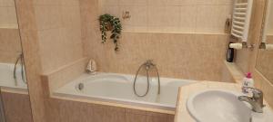 Danube Riverside Apartment with quite workplace