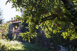 Kalderimi Country House Pelion Greece