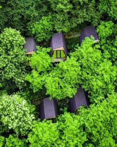 Porto Gumati - Dzhimastaro