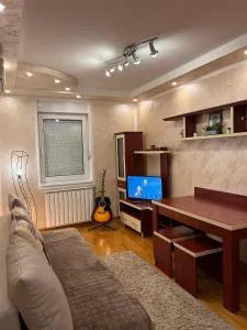 Stan Aleksić - Stitor