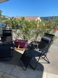 Appartements Studio en rez de chaussee avec terrasse : photos des chambres