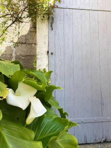 Maisons de vacances Maison bigoudene a 5 minutes de Pors Carn : photos des chambres