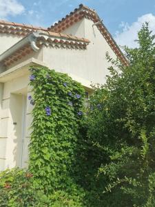 Maisons de vacances Maison avec piscine dans village provencal. : photos des chambres