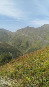 B&B / Chambres d'hotes Soupiets : photos des chambres