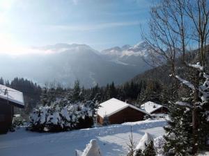 Chalets Stunning Alpine Chalet with Hot tub and Games Room : photos des chambres
