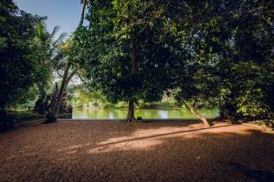 Meenachil Creek Homestay