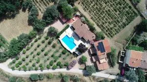 Domo Mea - 乌拉赛