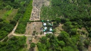 Paraiso Tropical Glamping