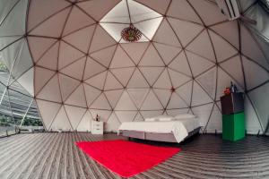 Paraiso Tropical Glamping