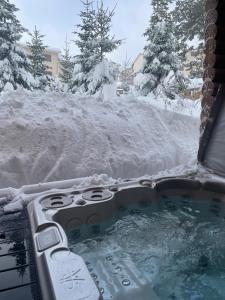 Appart'hotels Chalet Ana & SPA : photos des chambres