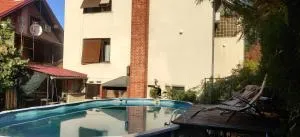 Hostel Golub - 维丁