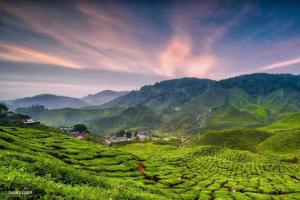 Cameron Highlands, The Breeze @ Barrington Square