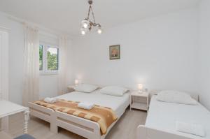 Apartments Family Gligora