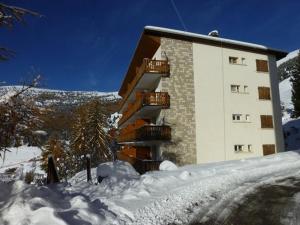 Spacieux appartement 8 pers, balcon sud, télésiège à 150m, animaux acceptés - Vieil Alpe - FR-1-405-37