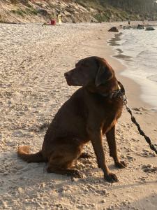 Apartamenty nad morzem Przy klifie Dębina