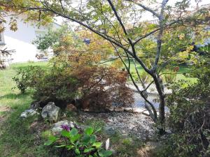 Appartements Les Amandiers : photos des chambres