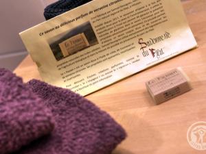 Gîte authentique au cœur du Parc du Pilat, animaux admis - FR-1-496-136